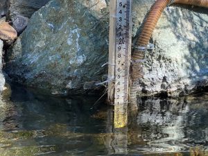 A staff gauge measures water depth in a creek.