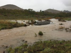 Gravel Bar created during January 2021 storm at Chorro Creek Ecological Reserve Project Site