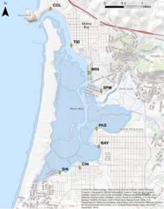 Bay Bacteria Map with 8 sites for bacteria monitoring