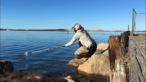 Monitoring Coordinator Makenzie collecting a bacteria sample at State Park Marina.