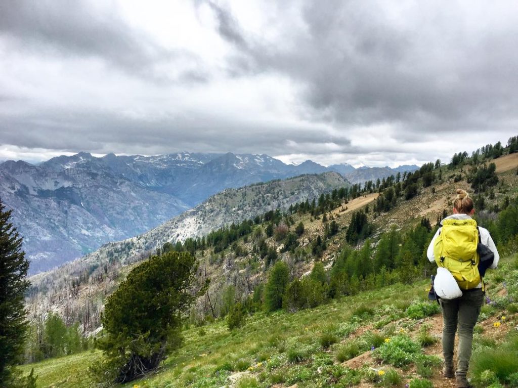 Riley in Washington State doing fieldwork