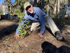 Dave Clendenen helps plant the pollinator garden at Sweet springs