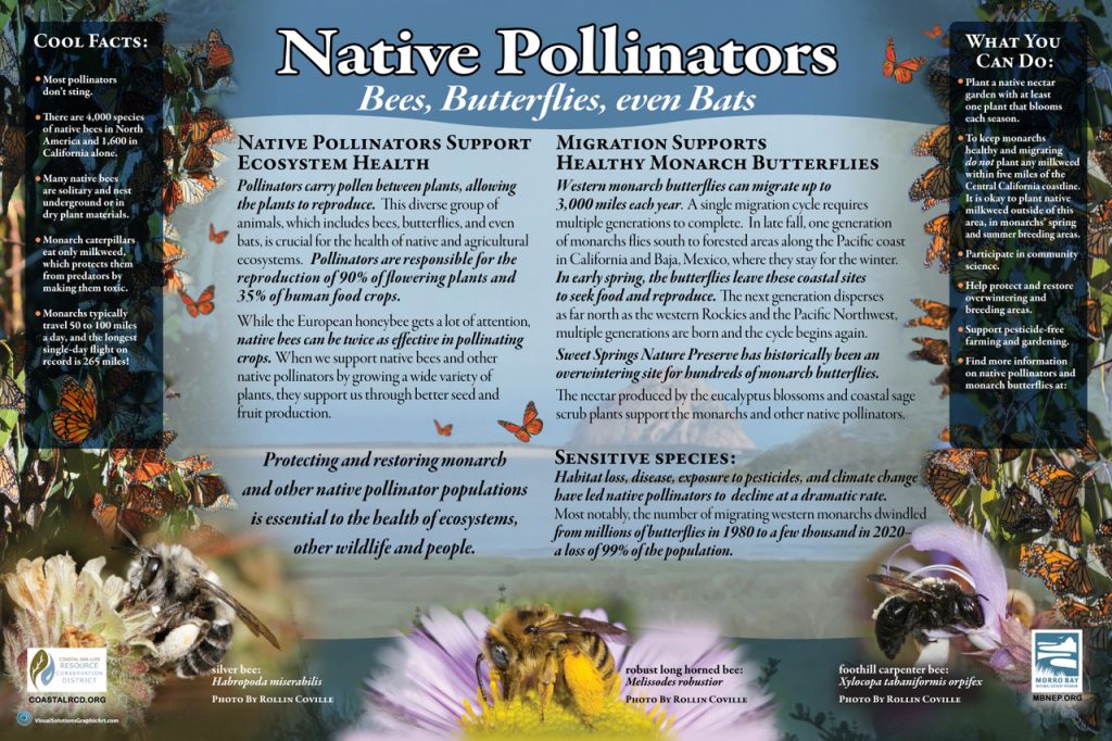 Native pollinator sign