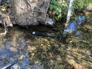 The EXO3 Sonde water quality meter is housed in a protective case during a deployment in Pennington Creek.