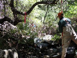 Monitoring staff use surveying equipment to measure changes in creek slope during bioassessment surveys.