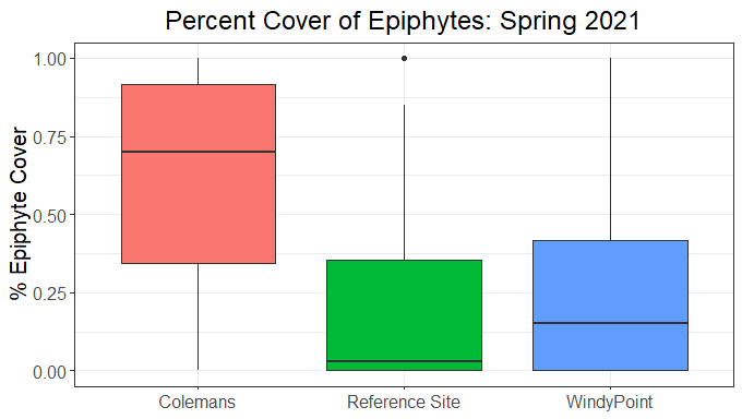 Graph of data to compare epiphyte coverage in bed condition monitoring sites.
