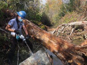 WSP Corpsmember using a rock anchor tool next to a tree trunk in a creek.