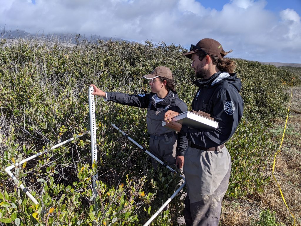 Two Corpsmembers using a ruler and tools to conduct a vegetation survey.