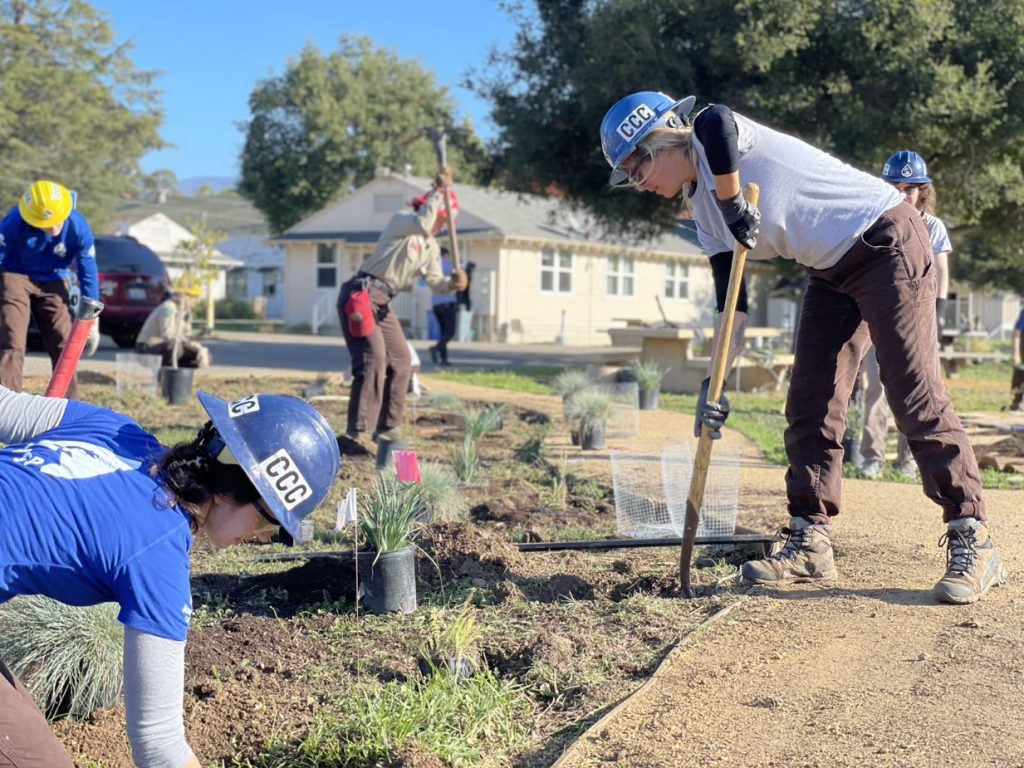 WSP Corpsmembers with tools planting and weeding.