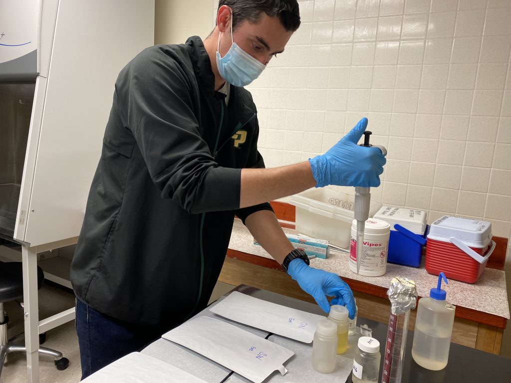 A staff member performing bacteria samples in our new lab space.