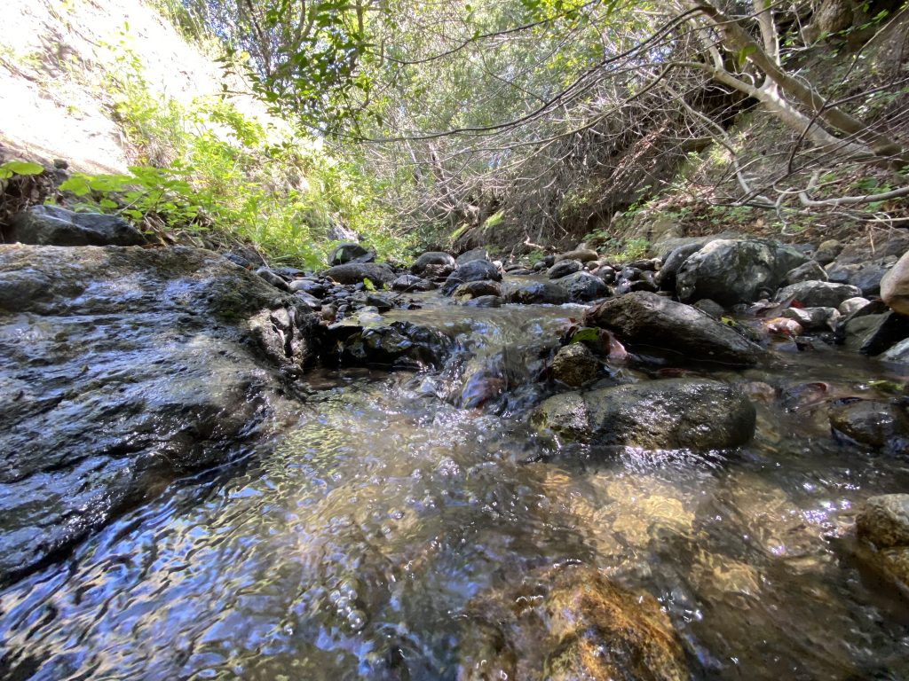 A stream in San Luis Obispo County where sensitive aquatic species rely on regular streamflow.