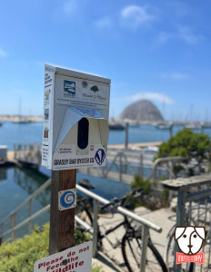 Tidelands park dispenser near the Morro Rock.