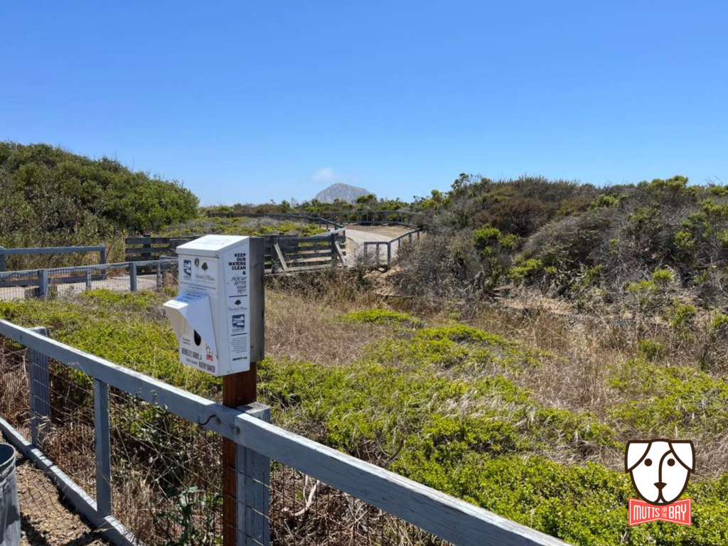 A dispenser in Cloisters Park in Morro Bay