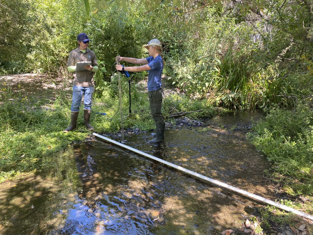 Two staff performing streamflow monitoring in Chorro Creek.