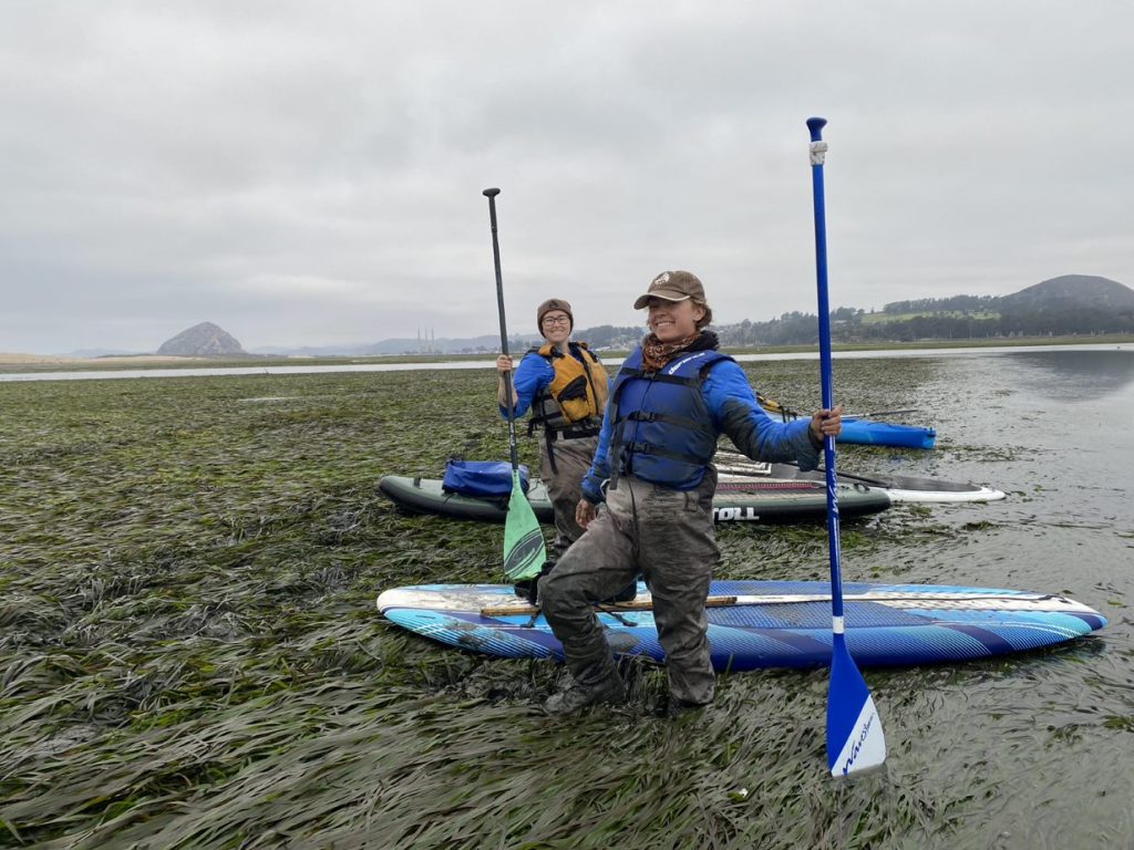 Hannah and Raine stand in eelgrass with paddleboards in Morro Bay.