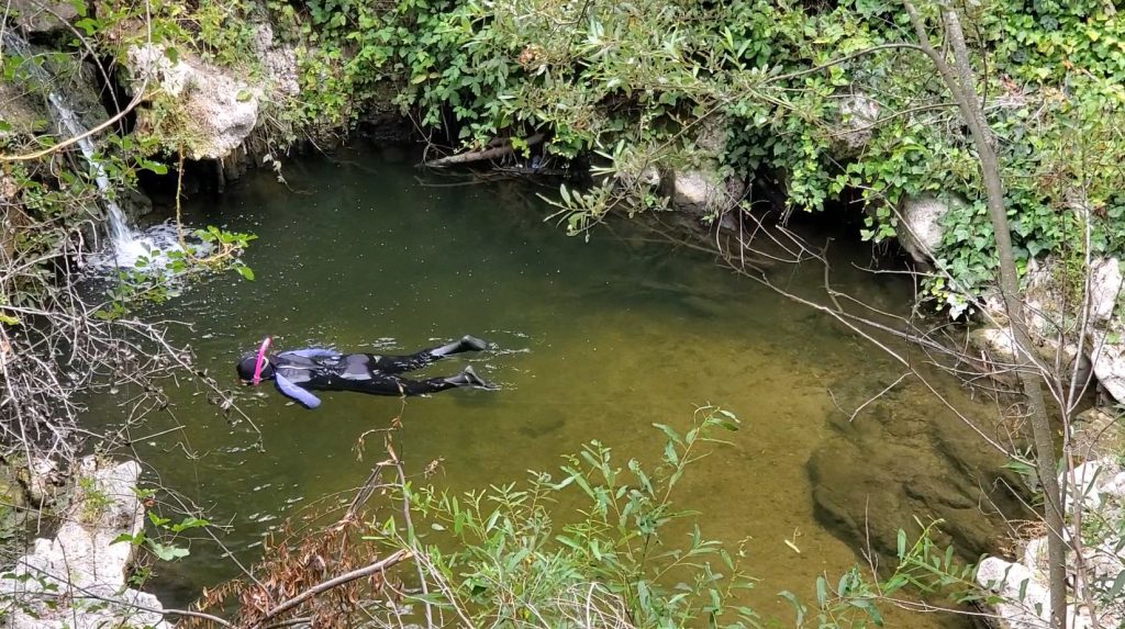 Hannah performing a snorkel survey to look for Steelhead Trout.