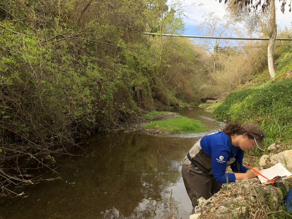 Hannah writes down data during a spawner survey.