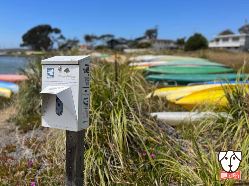 Dispenser near Cuesta Inlet.