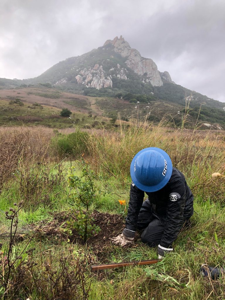 Raine doing plant maintenance at the Chorro Creek Ecological Reserve.