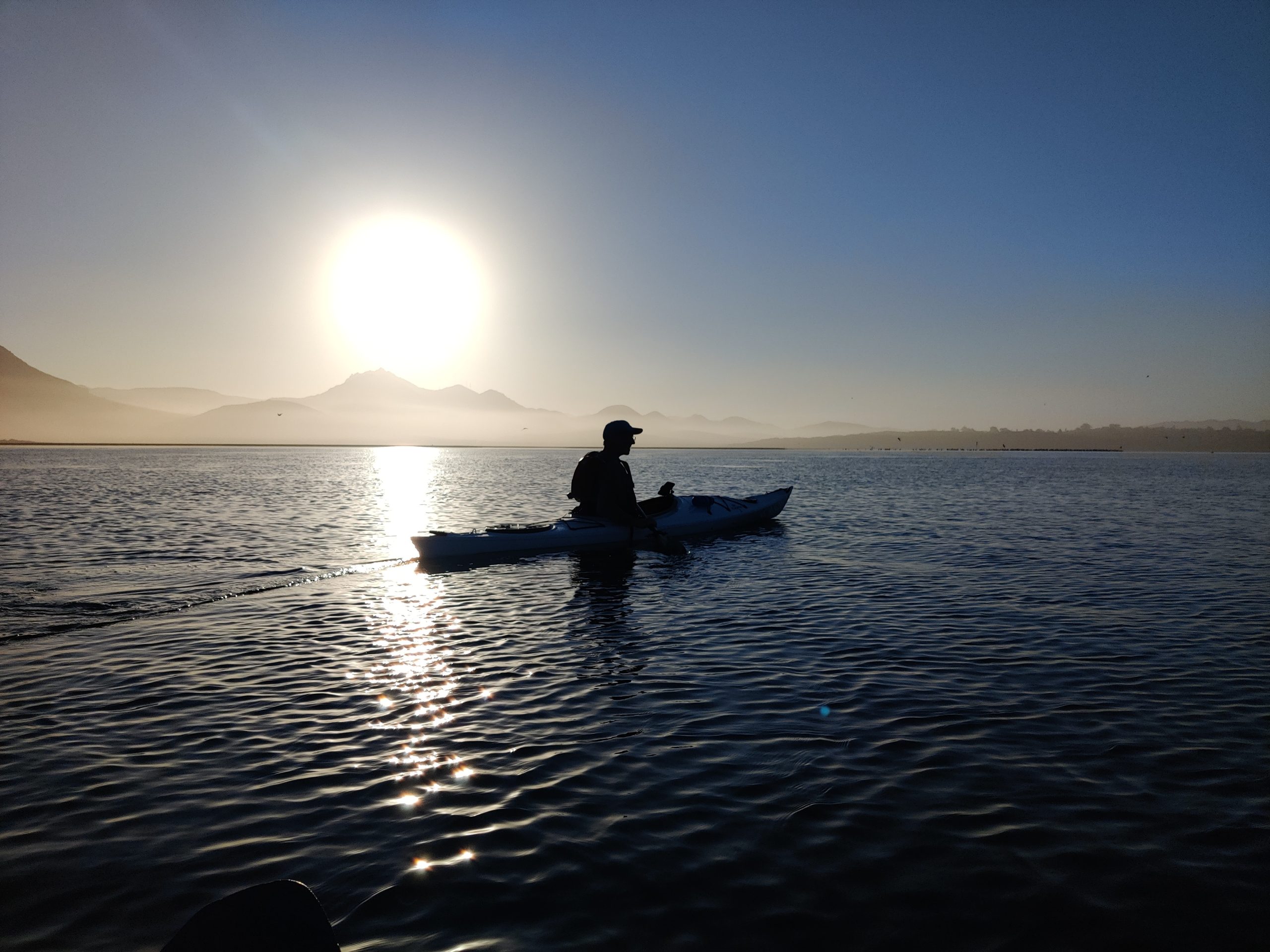 Morro Bay Mutt Mitts to the Rescue - Morro Bay National Estuary Program