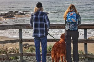 Two people and a dog stand with their backs to the camera. They are looking out onto the beach. Several elephant seals are visible in the background.