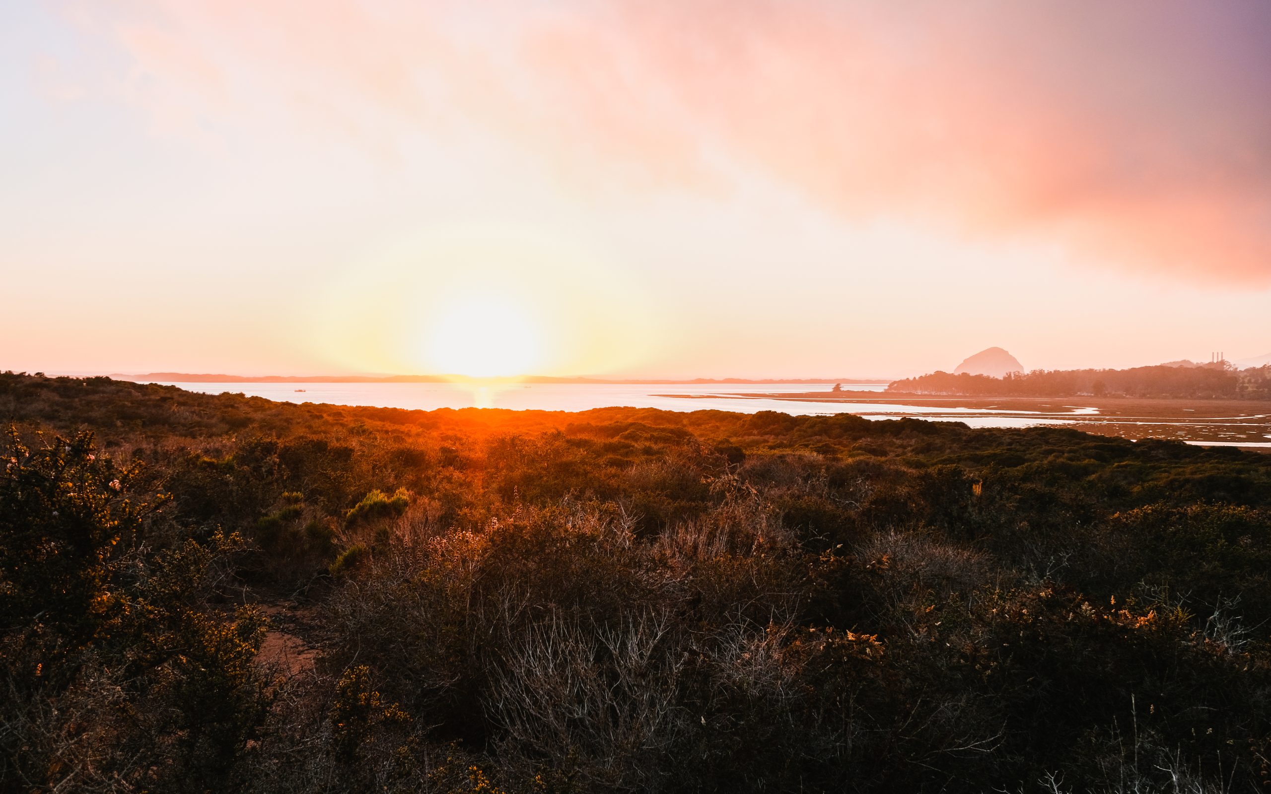 State of the Bay 2023 is Here!