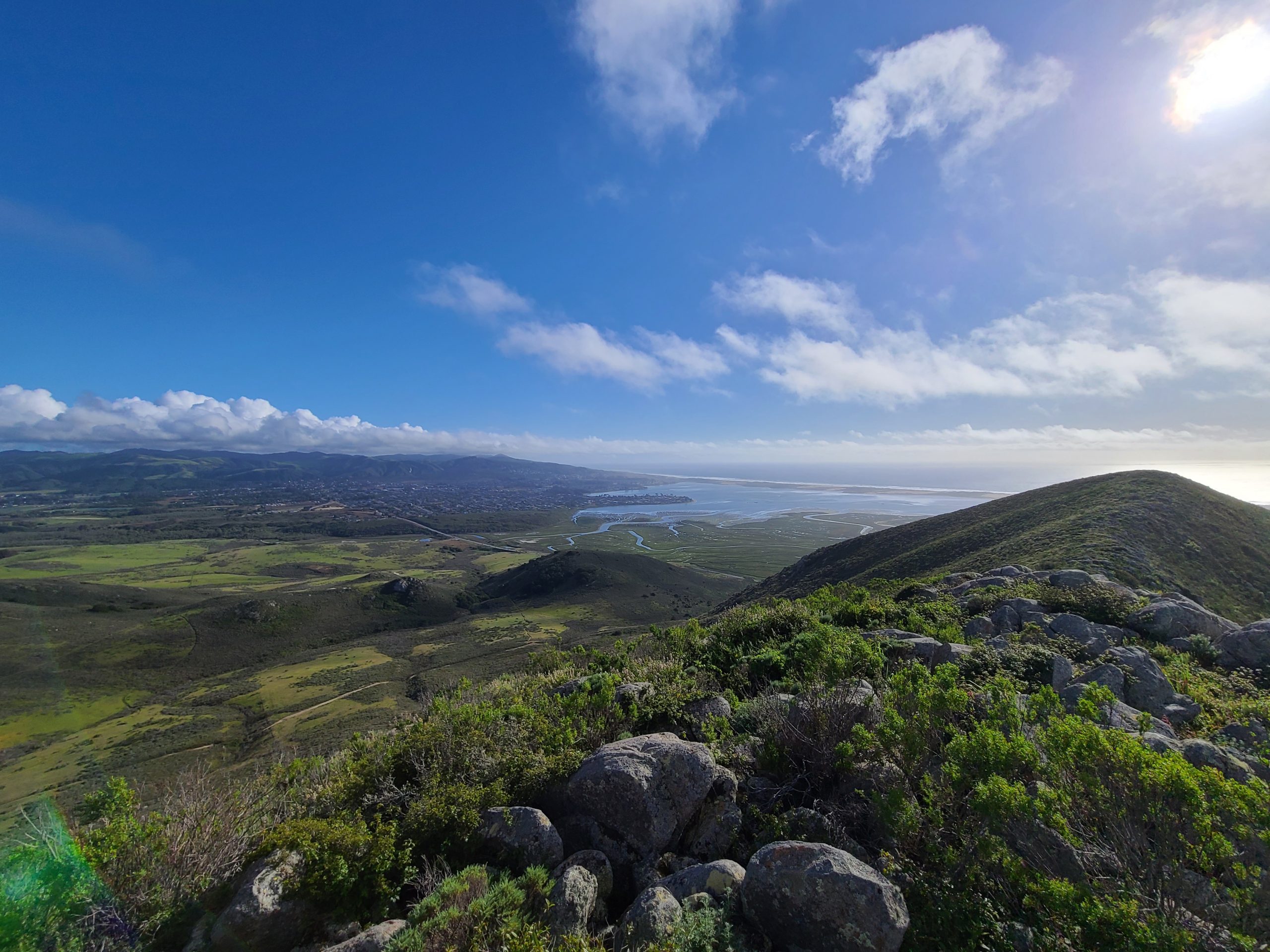 Morro Bay Mutt Mitts to the Rescue - Morro Bay National Estuary Program