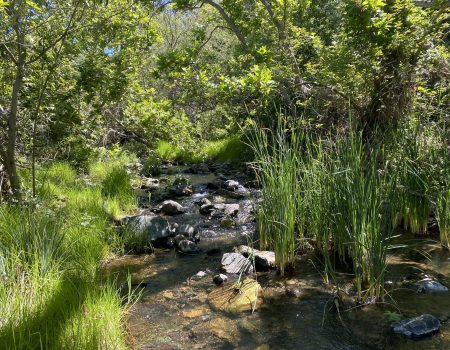 20230714_UpperChorro_Scenic (2)