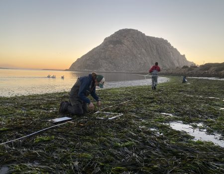 20251107_COL_EG-fiona (1)