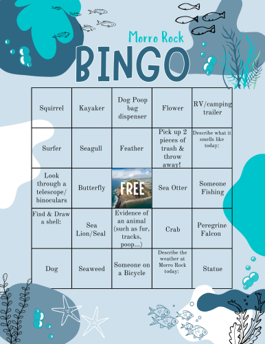 Morro Rock Bingo Card