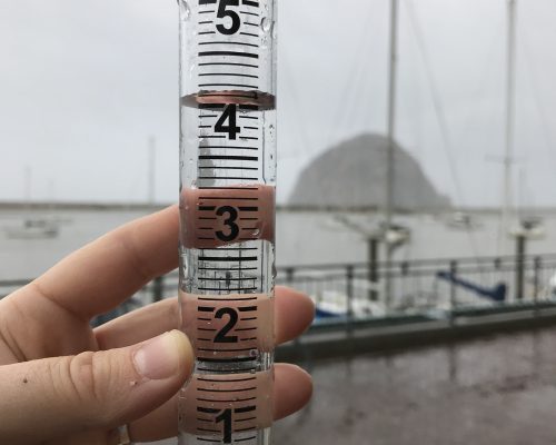 This photograph is from the big storm in March of 2018, when we received more than four inches of rain in a twenty-four hour period. Pick up your rain gauge soon and be ready for the next storm that comes around.